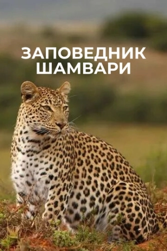 Заповедник Шамвари () онлайн